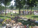 Filename=tribourg 011 (Medium).jpg
Filesize=116KB
Dimensions=666x500
Date added=Jun 01, 2005 tribourg 011 (Medium).jpg