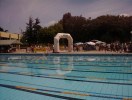 IMAG0019.JPG