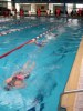 Nosaukums : aquathlon-rillieux-2006-101.jpg
Lielums : 44KB
Izmērs : 360x480
Pievienots : 20/03/2006 23:03 aquathlon-rillieux-2006-101.jpg