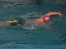 Nosaukums : aquathlon-rillieux-2006-15.JPG
Lielums : 60KB
Izmērs : 666x500
Pievienots : 20/03/2006 23:02 aquathlon-rillieux-2006-15.JPG