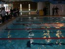 Filename=aquathlon-rillieux-2006-32.JPG
Filesize=73KB
Dimensions=640x480
Date added=Mar 20, 2006 aquathlon-rillieux-2006-32.JPG