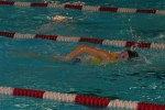 Fitxategia=aquathlon-rillieux-2006-58.jpg
Tamaina=70KB
Neurriak=640x424
Igotze data=2006(e)ko Mar(a)ren 20(e)an aquathlon-rillieux-2006-58.jpg