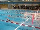 Fitxategia=aquathlon-rillieux-2006-59.JPG
Tamaina=95KB
Neurriak=640x480
Igotze data=2006(e)ko Mar(a)ren 20(e)an aquathlon-rillieux-2006-59.JPG