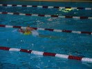 Fitxategia=aquathlon-rillieux-2006-60.jpg
Tamaina=78KB
Neurriak=640x480
Igotze data=2006(e)ko Mar(a)ren 20(e)an aquathlon-rillieux-2006-60.jpg