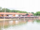 Filnavn=triathlon-bourg-04.JPG
Filstørrelse=72KB
Dimensioner=800x600
Tilføjet dato=05. Jun., 2006 triathlon-bourg-04.JPG
