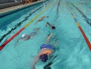 Filename=16-triathlon-echirolles.JPG
Filesize=78KB
Dimensions=640x480
Date added=May 17, 2006 16-triathlon-echirolles.JPG