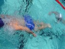 Filename=17-triathlon-echirolles.JPG
Filesize=91KB
Dimensions=640x480
Date added=May 17, 2006 17-triathlon-echirolles.JPG