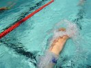 Filename=20-triathlon-echirolles.JPG
Filesize=86KB
Dimensions=640x480
Date added=May 17, 2006 20-triathlon-echirolles.JPG