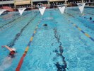 Filename=triathlon-echirolles-117.jpg
Filesize=108KB
Dimensions=800x600
Date added=May 14, 2006 triathlon-echirolles-117.jpg