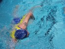 Filename=triathlon-echirolles-127.jpg
Filesize=106KB
Dimensions=800x600
Date added=May 14, 2006 triathlon-echirolles-127.jpg