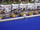Filnamn: lausanne-triathlon-mondes-07.jpg
Filstorlek: 88KB
Dimensioner: 800x600
Tillagd den: 14 sep 2006 lausanne-triathlon-mondes-07.jpg
