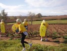 Filnamn: marathon-beaujolais-chenille-35.JPG
Filstorlek: 85KB
Dimensioner: 800x600
Tillagd den: 19 nov 2006 marathon-beaujolais-chenille-35.JPG