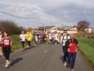 Filnamn: marathon-beaujolais-chenille-42.JPG
Filstorlek: 73KB
Dimensioner: 800x600
Tillagd den: 19 nov 2006 marathon-beaujolais-chenille-42.JPG