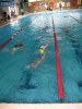 Filename=aquathlon-rillieux-2007-126.jpg
Filesize=61KB
Dimensions=450x600
Date added=Mar 29, 2007 aquathlon-rillieux-2007-126.jpg