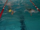Filename=aquathlon-rillieux-2007-169.JPG
Filesize=81KB
Dimensions=800x600
Date added=Mar 29, 2007 aquathlon-rillieux-2007-169.JPG