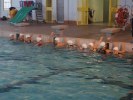 Filename=aquathlon-villeurbanne-2007-16.jpg
Filesize=73KB
Dimensions=800x600
Date added=Mar 25, 2007 aquathlon-villeurbanne-2007-16.jpg
