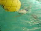 Filename=aquathlon-villeurbanne-2007-47.jpg
Filesize=61KB
Dimensions=800x600
Date added=Mar 25, 2007 aquathlon-villeurbanne-2007-47.jpg