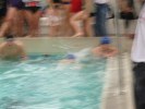 Filename=meeting-natation-privas-06.JPG
Filesize=50KB
Dimensions=800x600
Date added=Feb 07, 2007 meeting-natation-privas-06.JPG