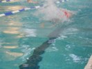 Filename=meeting-natation-privas-49.JPG
Filesize=54KB
Dimensions=800x600
Date added=Feb 07, 2007 meeting-natation-privas-49.JPG