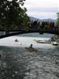 triathlon-annecy-3.jpg