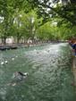 triathlon-annecy-6.jpg