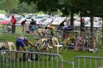 triathlon-bourg-3.jpg