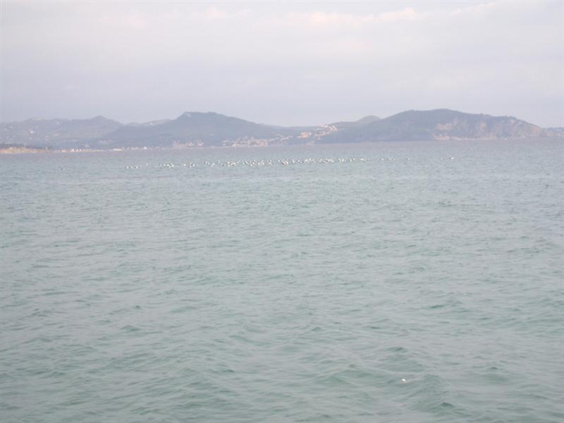 ciotat-96.jpg