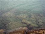 ciotat-120.jpg