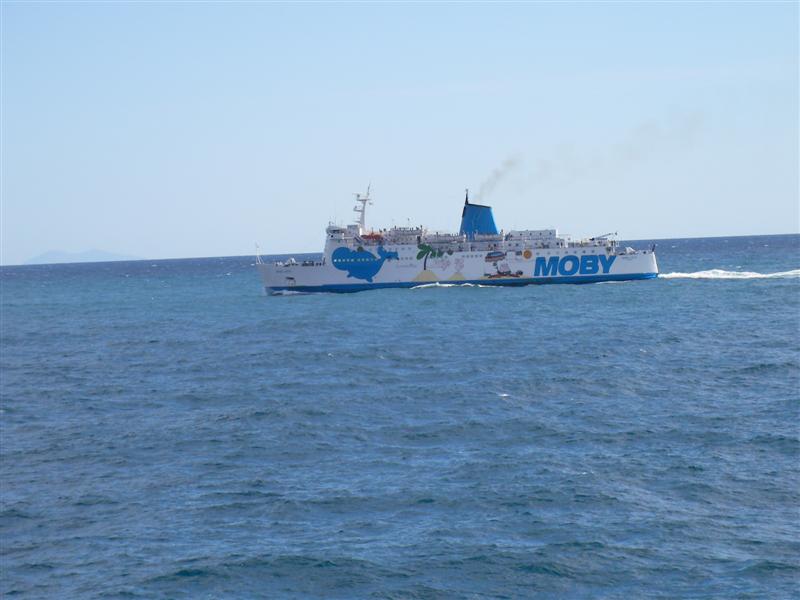 elbaman-44.jpg