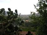elbaman-2.jpg