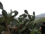 elbaman-3.jpg