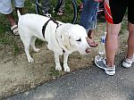 triathlon-romans-24.jpg