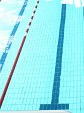 aquamax-26.jpg