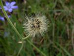 stage-chabotte-32.jpg