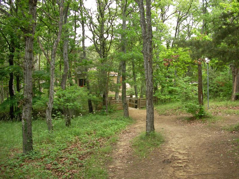 stage-chabotte-21.jpg