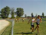 triathlon-vaulx-2.jpg