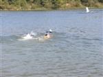 triathlon-vaulx-77.jpg