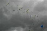 aquathlon-rillieux-2008-623.jpg