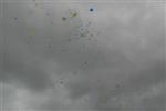 aquathlon-rillieux-2008-625.jpg