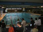 aquathlon-rillieux-2008-55.jpg
