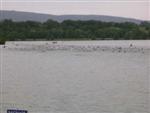 bourg-triathlon-2008-30.jpg