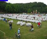 challenge-france-2008-42.jpg