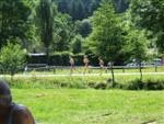 cublize-lac-sapins-84.jpg