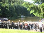 cublize-lac-sapins-65.jpg