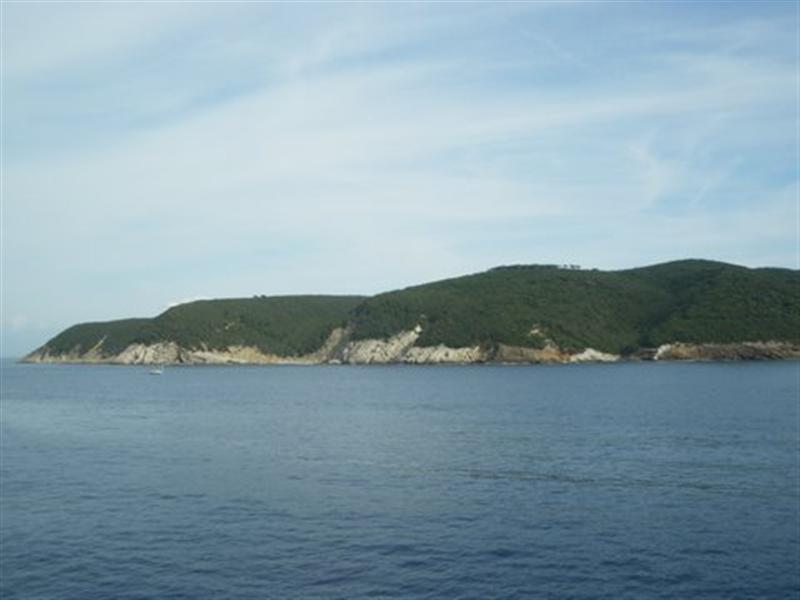 elbaman-9.jpg