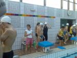 meeting-natation-33.jpg