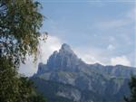 passy-2008-8.jpg