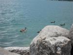 annecy-.jpg