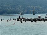 annecy-154.jpg