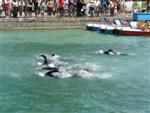 annecy-165.jpg
